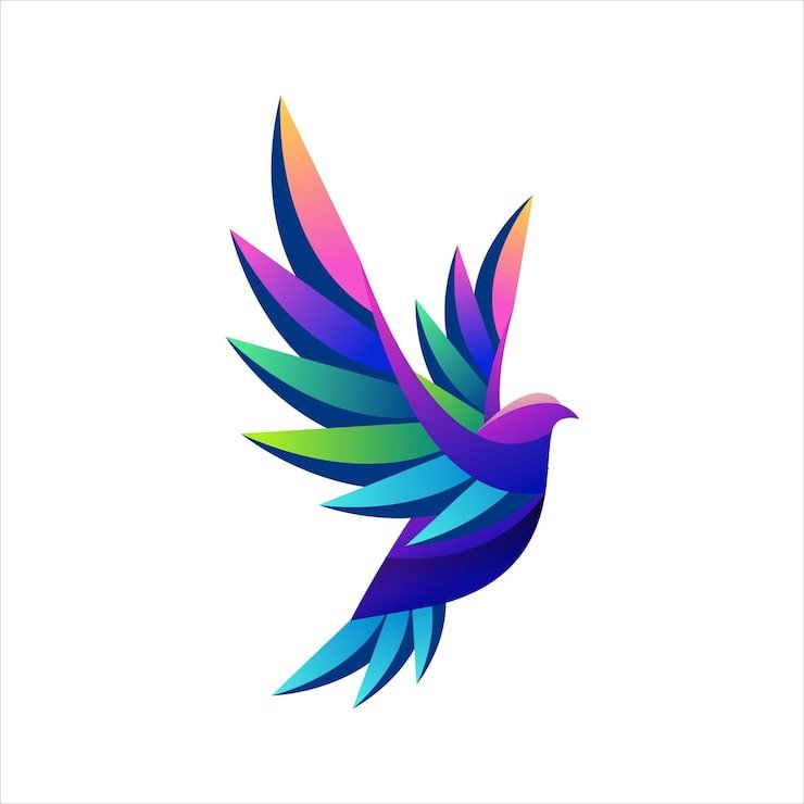 user profile