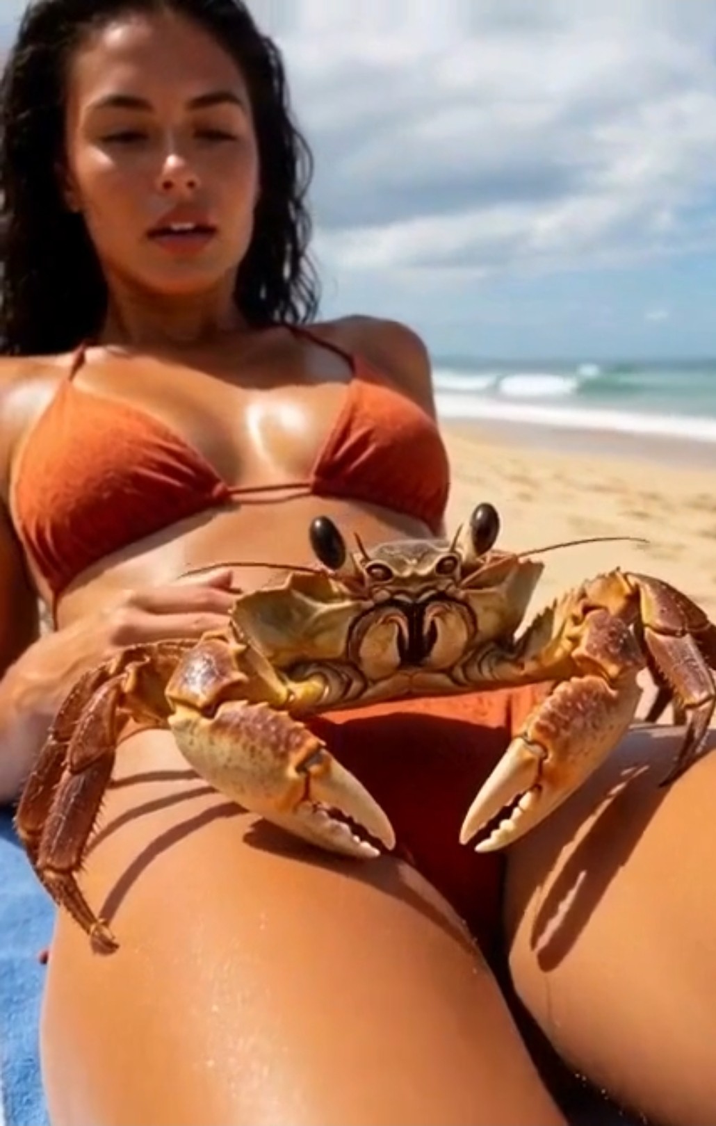 The naughty crab
