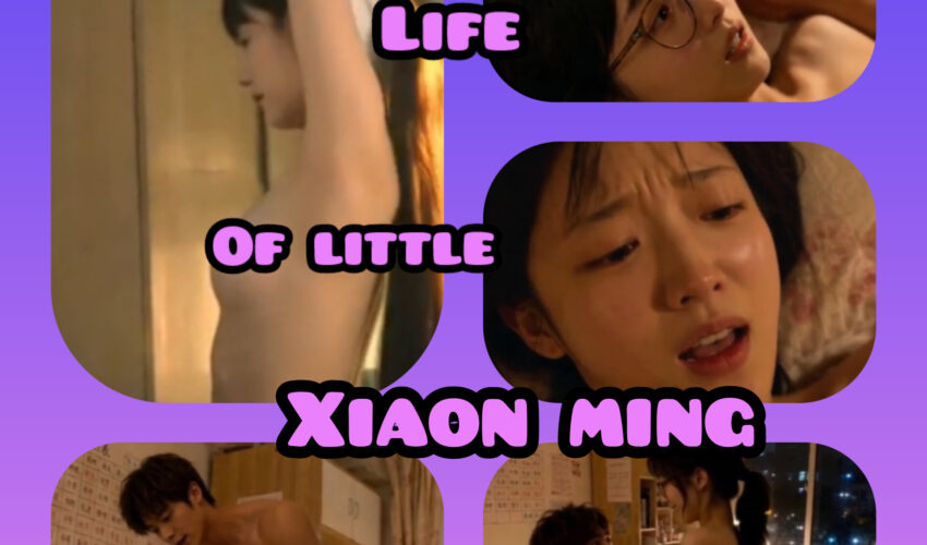The Pornographic Life of Little Xiaon Ming